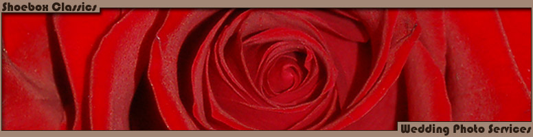 Photo Restoration Services - Red Rose Close Up - Wedding Photos